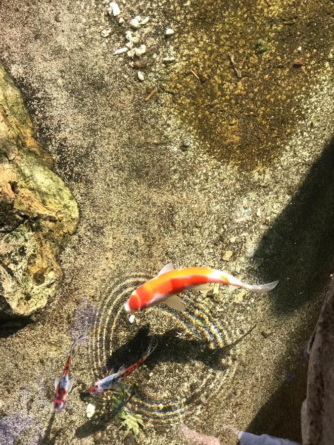 京都逸苑